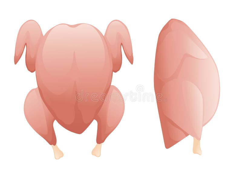 Raw Chicken Meat Ready Cooking Stock Illustrations – 61 Raw Chicken Meat  Ready Cooking Stock Illustrations, Vectors & Clipart - Dreamstime