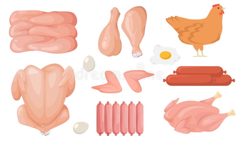 Cartoon Chicken Fresh Raw Meat Vector Set Stock Vector - Illustration of  drumstick, fresh: 263911434